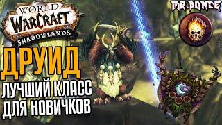 ДРУИД - Лучший класс для новичков Изменения в World of Warcraft Shadowlands 9.1