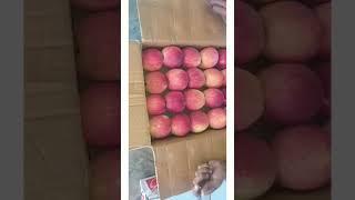 Apple Cold Storage In Multan..سیبوں کا کولڈ سٹوریج