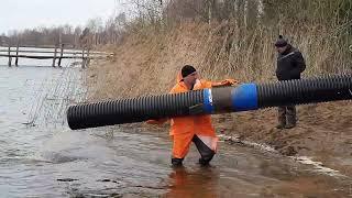 ЗАРЫБЛЕНИЕ 1-го ПРУДА. Владимировка 08.04.2022