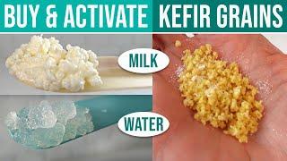 WHERE CAN I BUY KEFIR GRAINS?  How To Source Types To Choose From & Grain Activation