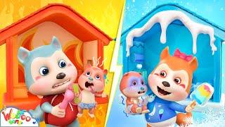 Hot Vs Cold Room Challenge Caring Baby Song  Imagine Kid Song & Nursery Rhymes  Wolfoo Kids Songs