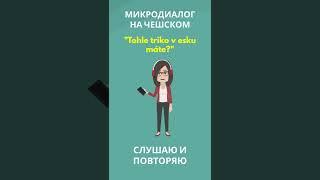 Диалог на чешском Tohle triko v esku máte?  Минутка чешского языка  Повседневные фразы