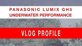 Lumix GH5 Underwater Footage  Vlog Profile  Nauticam Housing