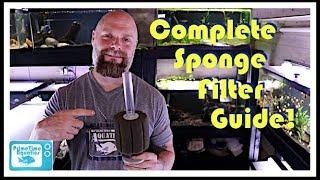 Fish Tank Sponge Filters Everything You Need to Know Assembly  Placement  Flow and More