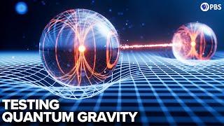 Can We Test Quantum Gravity?