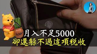 最新數據，中國超13億人月薪不足5000？中國人躲的過個稅，卻躲不過社保稅！｜小翠時政財經 20241017#608