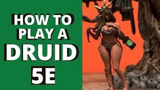 How to Play a Druid in 5E & Pathfinder Ep. #128