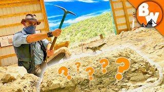 Digging Up Jurassic Treasure