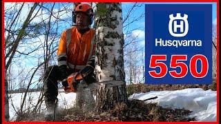 Husqvarna 550 XP G High Performance - See How The Chainsaw Is Used In Tree Removal Jobs