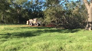 Mulching in Hallettsville