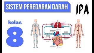 SISTEM TRANSPORTASI PADA MANUSIA  KELAS 8 SMP