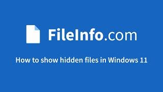 How to show hidden files in Windows 11