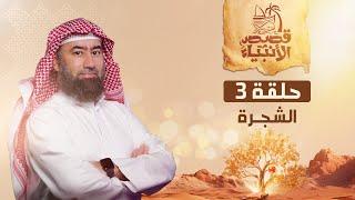 نبيل العوضي  قصة الشجرة التي نهى عنها آدم عليه السلام