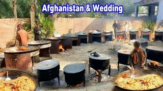 Village Wedding in AFG  Behsood District Best Cooking