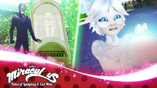 MIRACULOUS   CAT BLANC - Revelation   Tales of Ladybug and Cat Noir