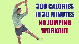 NO JUMPING WORKOUT Beginner Weight Loss Workout No Equipment300 Calories in 30 Minutes