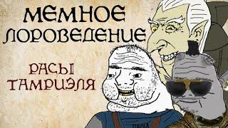 Расы Тамриэля  The Elder Scrolls