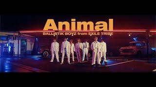 【Music Video】「Animal」  BALLISTIK BOYZ from EXILE TRIBE