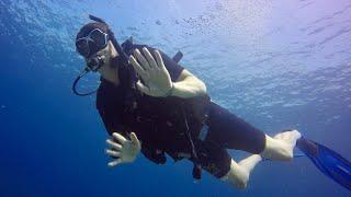 Learn how to scuba dive  The 5 essential diving skills