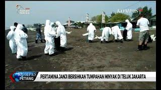 Tumpahan Minyak Cemari Teluk Jakarta Pertamina Janji Bersihkan Selama 6 Bulan