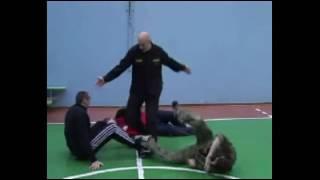 Energy  Self Defense  Systema Vadim Starov No Contact Combat