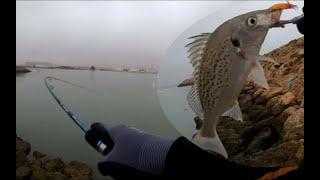 Best fishing spot for ultralight game  Salalah Oman  SanaAll Anglers