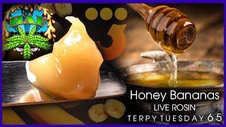 Terpy Tuesday Ep. 65 Hash And Flowers Honey Bananas Live Rosin