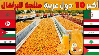 من هي اكبر دولة عربية في زراعة و انتاج البرتقال؟ تصنيف جديد لأكبر 10 محاصيل برتقال عند العرب 2023