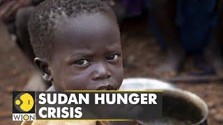 Sudan Hunger Crisis Urgent agricultural aid required  Darfur region is worst-affected  WION