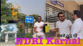 NDRI karnal Haryana  cows pure Ghee  kalakand milk Products NDRI  food visit In NDRI karnal