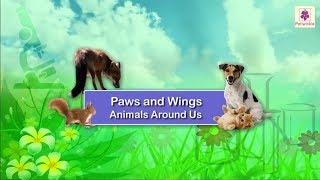 Paws and Wings - Animals Around Us  Science Grade 1  Periwinkle