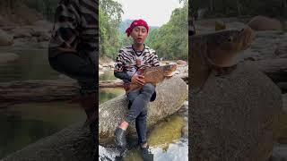 Ikan termahal di dunia