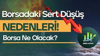 Borsadaki Sert Düşüş Nedenleri  Borsa Ne Olacak ?