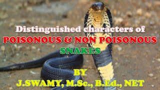 Identification of Poisonous and Non Poisonous Snakes