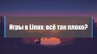 Игры в Linux всё настолько плохо?  Мнение Steam Wine Proton DXVK