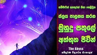 සබ්මැරින් අනතුරක් නිසා හෙළිවුන මුහුදු පතුලේ අත්භූත ජීවීන්  ද ඇබිස්  Review  The Abyss Movie