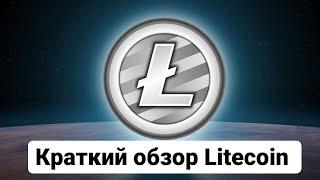 Litecoin Лайткоин что это? Краткий обзор