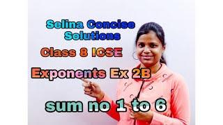 Exponents  Class 8  ICSE  Selina Concise  Mathematics  Ex 2B  full Step by Step Solutions 