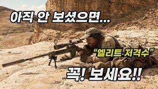 아프간 적진 한가운데서 벌어지는 지상 최대의 군사 작전 그리고 생존을 위한 혈투 영화리뷰결말포함