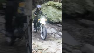 MOTOR LEGEND #patroli #shortvideo #hutanlindung #shorts