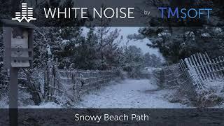 Snowy Beach Path Winter Ambience - 1hr Scenic Video in 4k