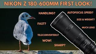 Z 180-600mm REVIEW - Does it live up to the hype?