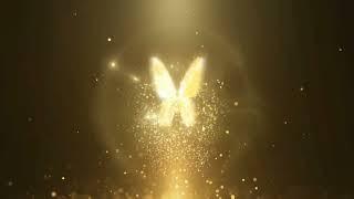 Best Intro Template No Text Free Download  Golden Butterfly Intro