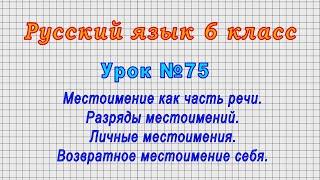 Русский язык 6 класс Урок№75 - Местоимение как часть речи. Разряды местоимений.Личные местоимения.