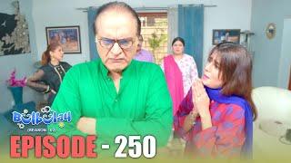 Bulbulay Season 2 Episode 250  Comedy  Ayesha Omar & Nabeel  Momo  Mehmood Sahab