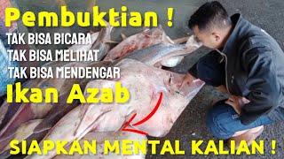 Ikan Azab Viral Anak Durhaka 