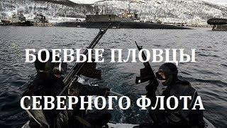 БОЕВЫЕ ПЛОВЦЫ СЕВЕРНОГО ФЛОТА - ОТРАБОТКА ДЕЙСТВИЙ ПРОТИВ ДИВЕРСАНТОВ