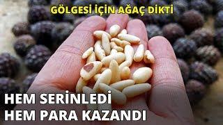 Gölgesi için diktiği araçtan para kazandı