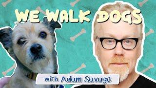 Adam Savage Busts Dog Myths While Walking His Pup  WeWalkDogs