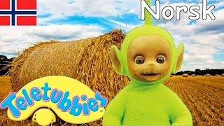 Teletubbiene på norsk - Haymaking  49